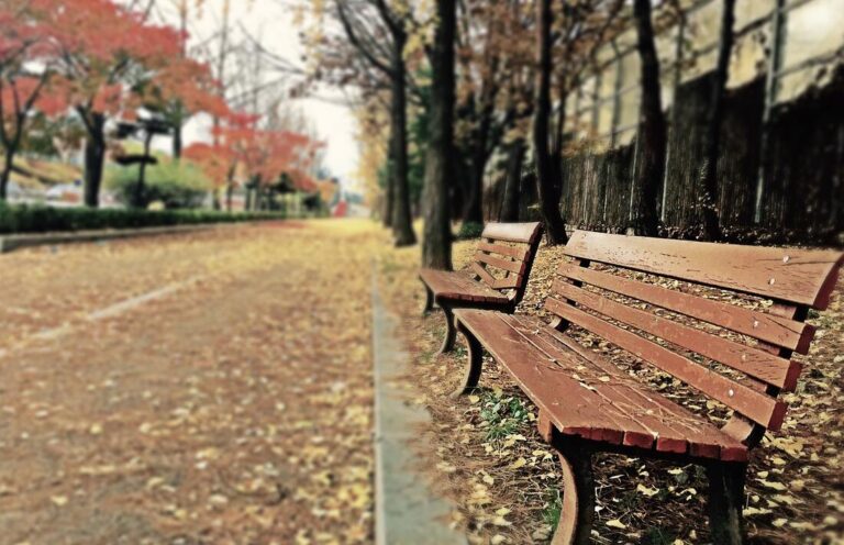 A row of wooden benches lined up along a sunny sidewalk